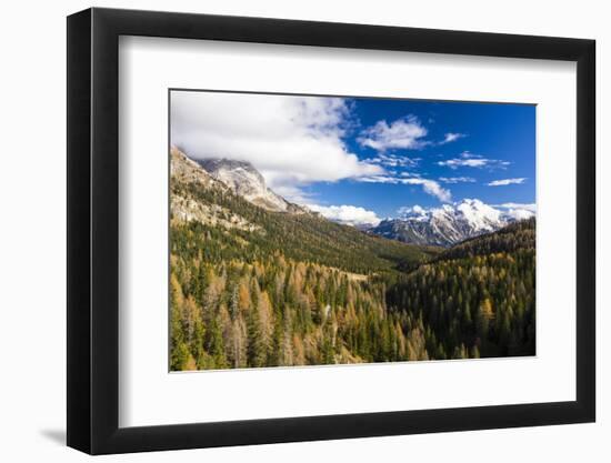 Autumn color near to Cortina d'Ampezzo in the Dolomites, Italy-Julian Elliott-Framed Photographic Print