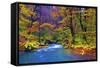 Autumn Color of Oirase River, Japan-NicholasHan-Framed Stretched Canvas