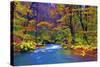 Autumn Color of Oirase River, Japan-NicholasHan-Stretched Canvas