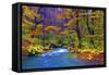 Autumn Color of Oirase River, Japan-NicholasHan-Framed Stretched Canvas