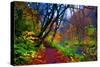 Autumn Color of Oirase River, Japan-NicholasHan-Stretched Canvas