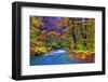 Autumn Color of Oirase River, Japan-NicholasHan-Framed Photographic Print