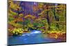 Autumn Color of Oirase River, Japan-NicholasHan-Mounted Photographic Print