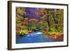 Autumn Color of Oirase River, Japan-NicholasHan-Framed Photographic Print