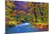 Autumn Color of Oirase River, Japan-NicholasHan-Mounted Photographic Print