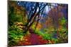 Autumn Color of Oirase River, Japan-NicholasHan-Mounted Photographic Print