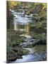Autumn Color on Stream, Trout Lake, Washington, USA-William Sutton-Mounted Premium Photographic Print