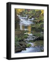 Autumn Color on Stream, Trout Lake, Washington, USA-William Sutton-Framed Photographic Print