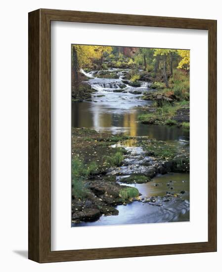 Autumn Color on Stream, Trout Lake, Washington, USA-William Sutton-Framed Photographic Print