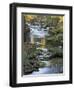 Autumn Color on Stream, Trout Lake, Washington, USA-William Sutton-Framed Photographic Print