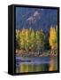 Autumn Color on the Methow River, Washington, USA-William Sutton-Framed Stretched Canvas