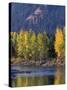 Autumn Color on the Methow River, Washington, USA-William Sutton-Stretched Canvas