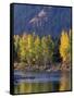 Autumn Color on the Methow River, Washington, USA-William Sutton-Framed Stretched Canvas