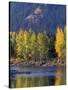 Autumn Color on the Methow River, Washington, USA-William Sutton-Stretched Canvas