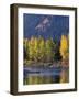 Autumn Color on the Methow River, Washington, USA-William Sutton-Framed Photographic Print