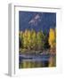 Autumn Color on the Methow River, Washington, USA-William Sutton-Framed Photographic Print