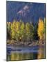 Autumn Color on the Methow River, Washington, USA-William Sutton-Mounted Photographic Print