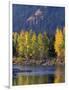 Autumn Color on the Methow River, Washington, USA-William Sutton-Framed Photographic Print