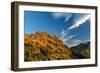 Autumn color on Yakima Peak in Mount Rainier National Park, Washington State, USA-Chuck Haney-Framed Photographic Print