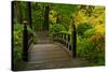 Autumn Color, Portland Japanese Garden, Portland, Oregon, USA-Michel Hersen-Stretched Canvas