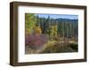 Autumn color, reflections, Leavenworth National Fish Hatchery, Washington State, USA-Michel Hersen-Framed Photographic Print