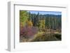 Autumn color, reflections, Leavenworth National Fish Hatchery, Washington State, USA-Michel Hersen-Framed Photographic Print