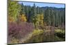 Autumn color, reflections, Leavenworth National Fish Hatchery, Washington State, USA-Michel Hersen-Mounted Photographic Print