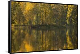 Autumn color reflections on the lake surface-Paivi Vikstrom-Framed Stretched Canvas