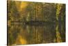 Autumn color reflections on the lake surface-Paivi Vikstrom-Stretched Canvas