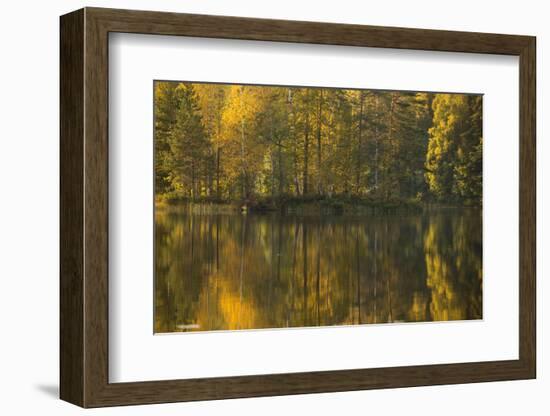 Autumn color reflections on the lake surface-Paivi Vikstrom-Framed Photographic Print