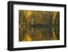 Autumn color reflections on the lake surface-Paivi Vikstrom-Framed Photographic Print