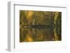 Autumn color reflections on the lake surface-Paivi Vikstrom-Framed Photographic Print