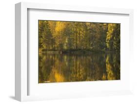 Autumn color reflections on the lake surface-Paivi Vikstrom-Framed Photographic Print