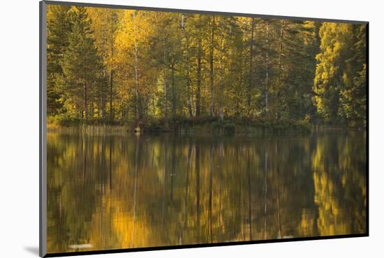 Autumn color reflections on the lake surface-Paivi Vikstrom-Mounted Photographic Print