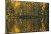 Autumn color reflections on the lake surface-Paivi Vikstrom-Mounted Photographic Print