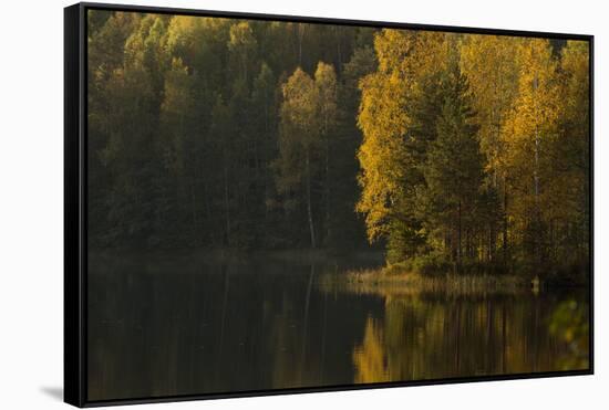Autumn color reflections on the lake surface-Paivi Vikstrom-Framed Stretched Canvas