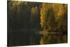 Autumn color reflections on the lake surface-Paivi Vikstrom-Stretched Canvas