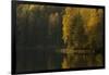 Autumn color reflections on the lake surface-Paivi Vikstrom-Framed Photographic Print