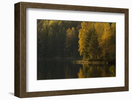 Autumn color reflections on the lake surface-Paivi Vikstrom-Framed Photographic Print