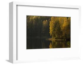 Autumn color reflections on the lake surface-Paivi Vikstrom-Framed Photographic Print