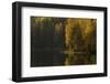 Autumn color reflections on the lake surface-Paivi Vikstrom-Framed Photographic Print