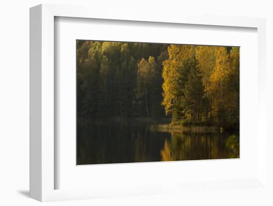 Autumn color reflections on the lake surface-Paivi Vikstrom-Framed Photographic Print