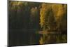 Autumn color reflections on the lake surface-Paivi Vikstrom-Mounted Photographic Print