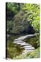 Autumn Color, Stepping Stones, Butchard Gardens, Victoria, British Columbia, Canada-Terry Eggers-Stretched Canvas