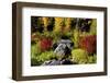 Autumn color, Tumwater Canyon, Wenatchee National Forest, Washington State, USA-Michel Hersen-Framed Photographic Print