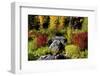 Autumn color, Tumwater Canyon, Wenatchee National Forest, Washington State, USA-Michel Hersen-Framed Photographic Print