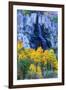 Autumn Color Waterfall Bishop Creek Canyon Eastern Sierras California-Vincent James-Framed Premium Photographic Print