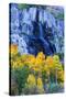 Autumn Color Waterfall Bishop Creek Canyon Eastern Sierras California-Vincent James-Stretched Canvas