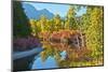 Autumn color, White River, Wenatchee National Forest, Washington State, USA-Michel Hersen-Mounted Photographic Print