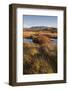 Autumn color with mountains in Thingvellir National Park, UNESCO World Heritage Site, Iceland, Pola-Jon Reaves-Framed Photographic Print